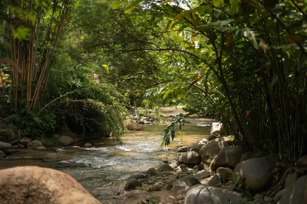 The stream running through the grounds