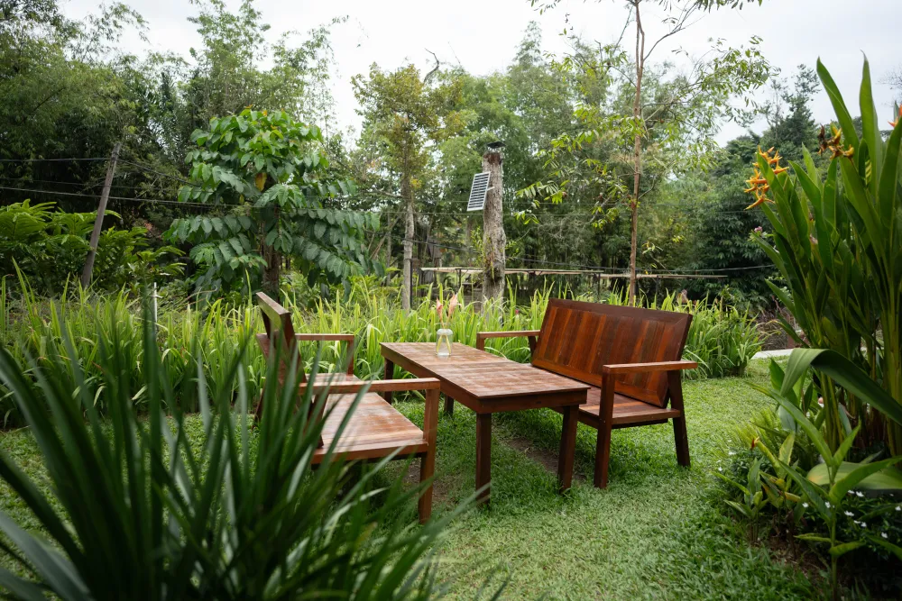 Garden bench among the trees