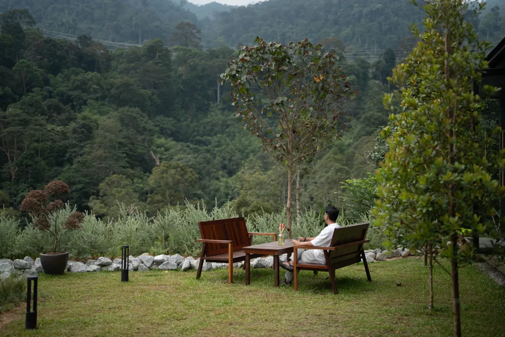 A single chair looking out at the mountains