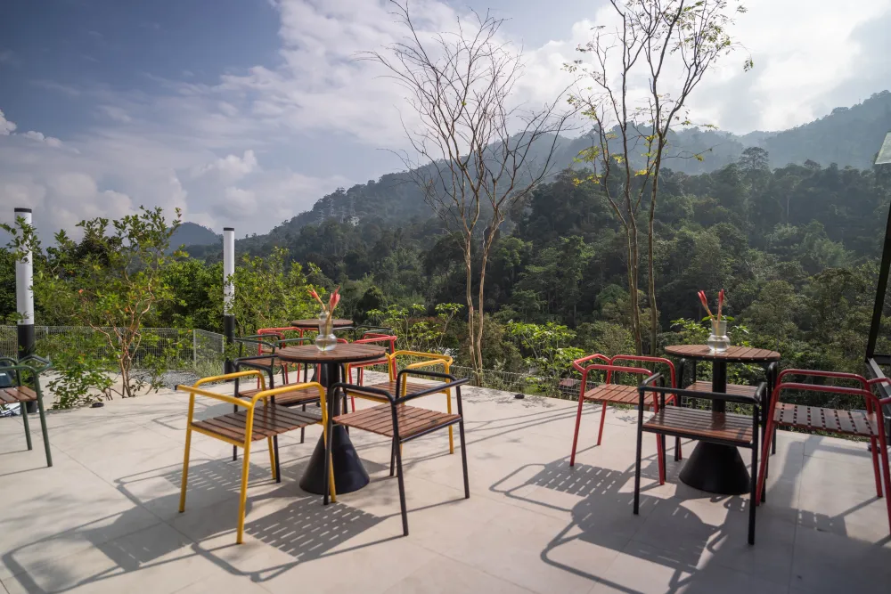 Outdoor deck seating in the forest